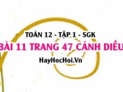 Bài 11 trang 47 Toán 12 tập 1 Cánh Diều